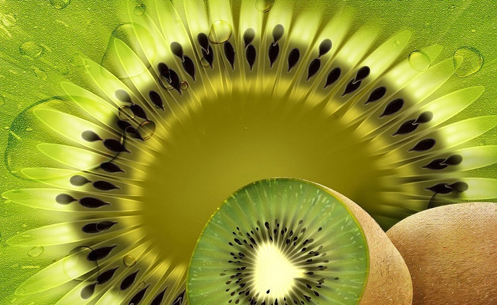 Hình nền  hình minh họa món ăn 3D trái cây màu xanh lá ly táo thực  vật Sản xuất Nhà máy đất thực vật có hoa 1920x1200  goodfon  586614 