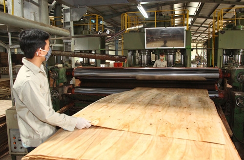 Gia Lai phát triển ngành công nghiệp chế biến gỗ bền vững