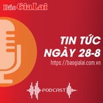 Tin tức sáng 28-8: Dự án đường hành lang kinh tế phía Đông tỉnh Gia Lai: Tháo gỡ “nút thắt” mặt bằng để đẩy nhanh tiến độ thi công