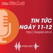 Tin tức sáng 11-12: Sản phẩm OCOP sẵn sàng phục vụ thị trường Tết