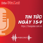 Tin tức sáng 15-9: Gia Lai tiếp nhận hơn 2,3 tỷ đồng hỗ trợ các tỉnh bị thiệt hại do cơn bão số 3 