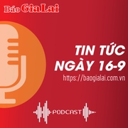 Tin tức sáng 16-9: Nông dân Gia Lai kỳ vọng xuất khẩu chanh dây sang thị trường Mỹ