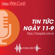 Tin tức sáng 11-9: Gia Lai tăng cường phòng-chống hành vi xâm hại, bạo hành trẻ em