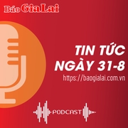 Tin tức sáng 31-8: Bắt tạm giam Đỗ Đăng Trường về hành vi đồi bại với con riêng của vợ 