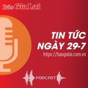 Tin tức sáng 29-7: Bệnh viện Nhi Đồng 1 và Bệnh viện Hùng Vương Gia Lai ký kết hợp đồng hỗ trợ chuyên môn