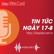 Tin tức sáng 17-8: Gia Lai xử phạt 37 cơ sở kinh doanh dược vi phạm