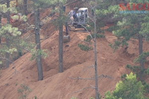 Đà Lạt: Hàng trăm cây thông nguy cơ bị 'bức tử' tại dự án xây dựng khu nghỉ dưỡng Núi Hoa