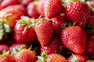 Đa số trái cây đều ngọt, vậy người bệnh tiểu đường nên ăn loại nào?