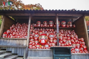 Đầu năm đến Nhật Bản thăm ngôi chùa có hàng vạn búp bê may mắn