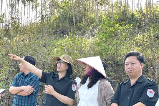 Phó chủ tịch UBND tỉnh Nguyễn Thị Thanh Lịch kiểm tra công tác tìm kiếm hài cốt liệt sĩ tại Đak Pơ