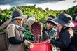 Gia Lai: Xây dựng vùng chuyên canh cây trồng chủ lực