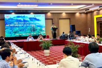 Lãnh đạo Quảng Nam đề xuất Chính phủ lập tổ chuyên trách về tín chỉ carbon