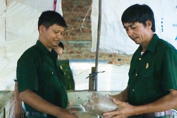 Ông Trịnh Kế Vượn thu nhập khá từ nghề trồng nấm rơm