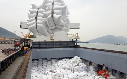 Việt Nam đối mặt với nhiều thách thức khi xuất khẩu gạo vào thị trường Philippines