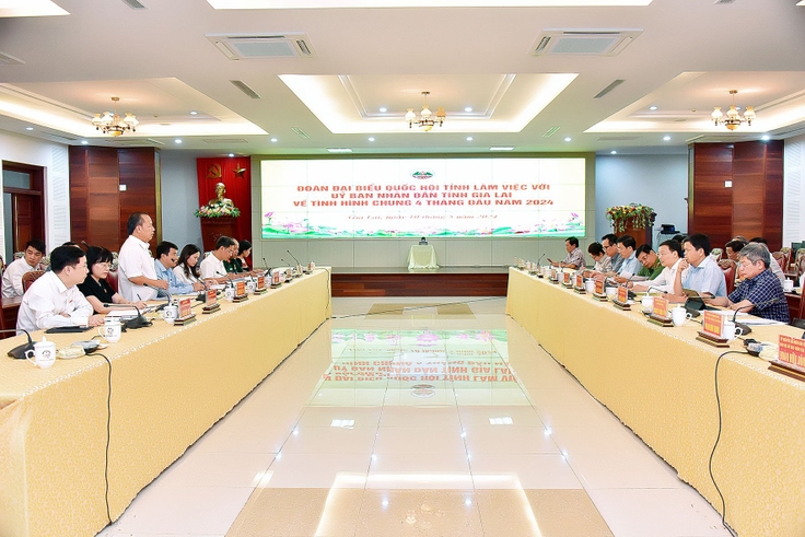 Đoàn đại biểu Quốc hội tỉnh làm việc với UBND tỉnh Gia Lai
