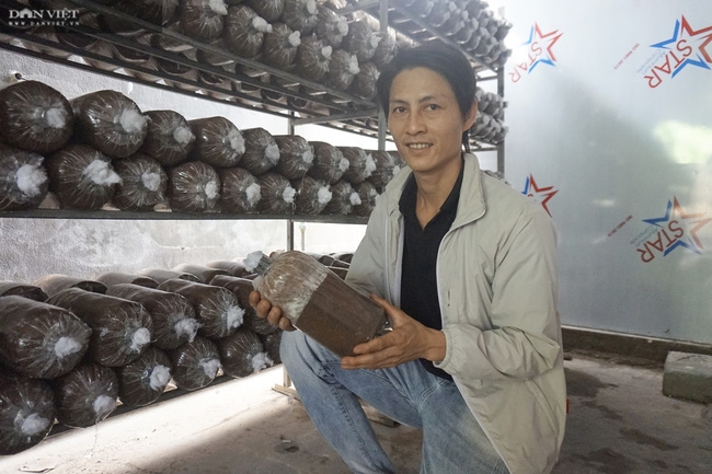 Đà Nẵng Phát triển nghề trồng nấm tạo thu nhập ổn định cho nông dân