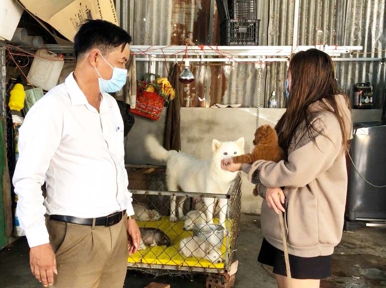 Cách chọn chuồng nuôi chó và kỹ thuật chăm sóc hiệu quả  Dân Việt