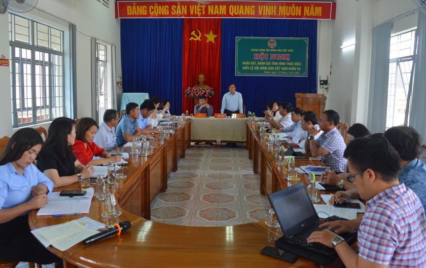 Khảo sát, đánh giá tình hình thực hiện Điều lệ Hội Nông dân Việt Nam tại Gia Lai ảnh 2