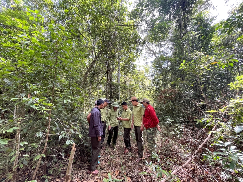 Gia Lai tuyển 69 viên chức làm việc tại các ban quản lý rừng ảnh 1