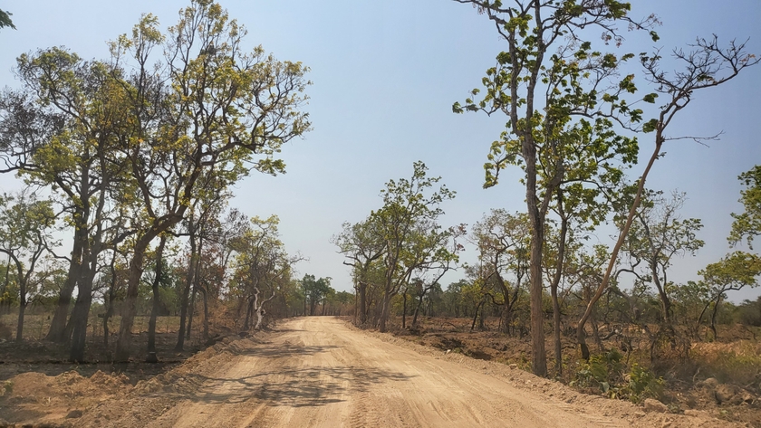 Đề nghị huyện Chư Prông kiểm tra, xử lý tình trạng xâm hại rừng ảnh 1