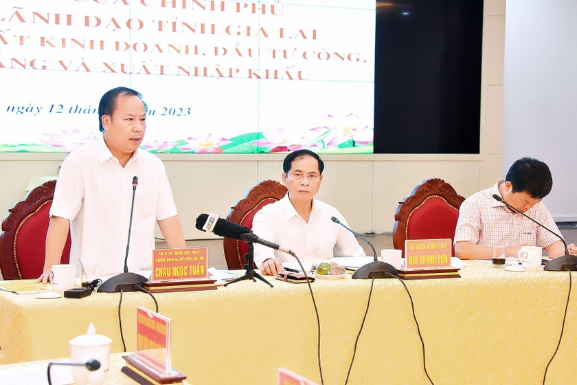 Bộ trưởng Bộ Ngoại giao Bùi Thanh Sơn: Đồng hành, hỗ trợ Gia Lai phát triển ảnh 2