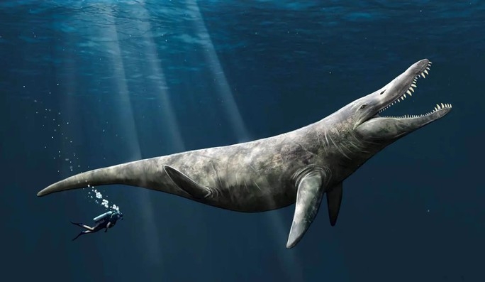 Mất tích 152 triệu năm, "T-rex đại dương" hiện ra bất ngờ giữa bảo tàng  ảnh 1