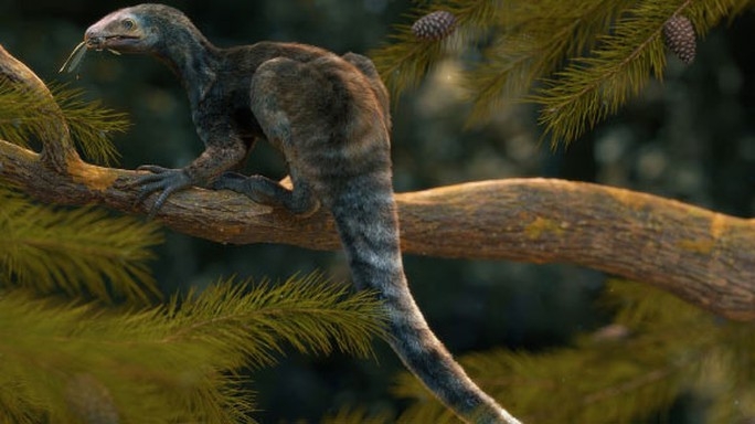 Brazil: Lộ diện sinh vật lạ đuôi khủng long, tay khỉ, đầu chim ăn thịt ảnh 2