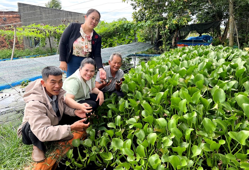 Cán bộ xã Xuân An tham quan mô hình nuôi ốc lác Thái Lan của hộ ông Phan Xuân Phương (thôn An Xuân 2). Ảnh: Đ.Y ảnh 2