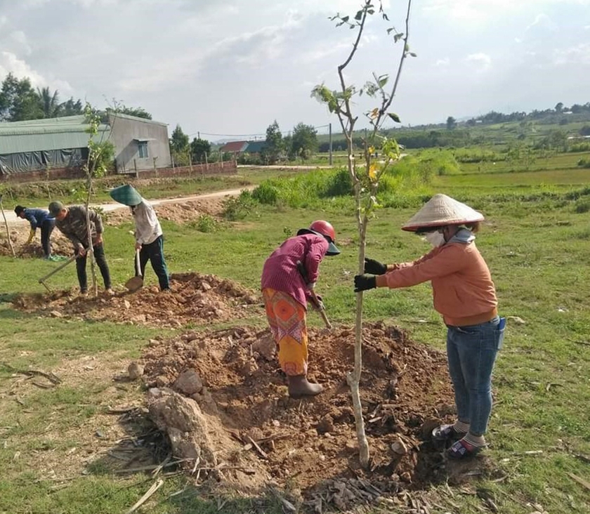 Người dân làng Nhoi trồng cây xanh quanh khu vực nhà rông. Ảnh: Huy Phan ảnh 2