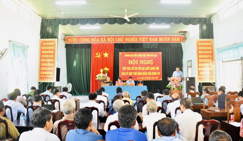 Cử tri huyện Chư Păh kiến nghị về lĩnh vực nông nghiệp, nông thôn ảnh 1