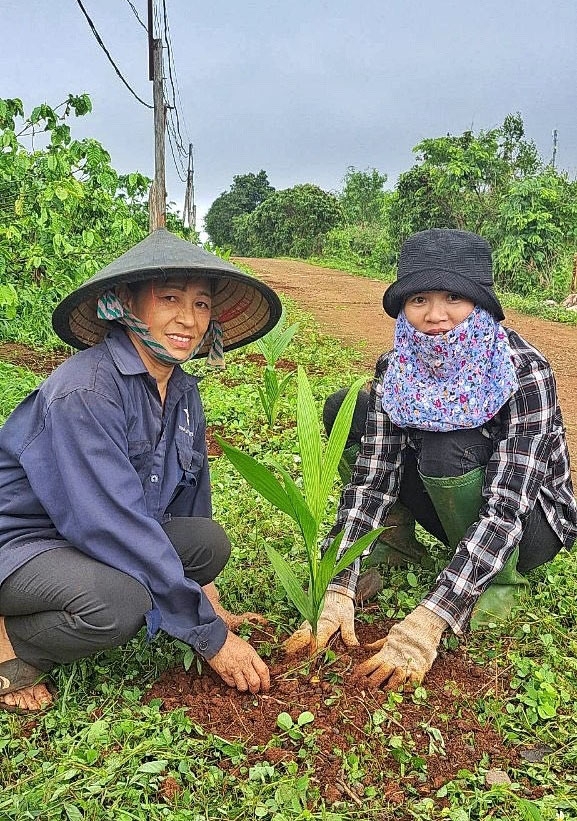 Phụ nữ Chư Sê trồng cây hưởng ứng Ngày Môi trường thế giới ảnh 1
