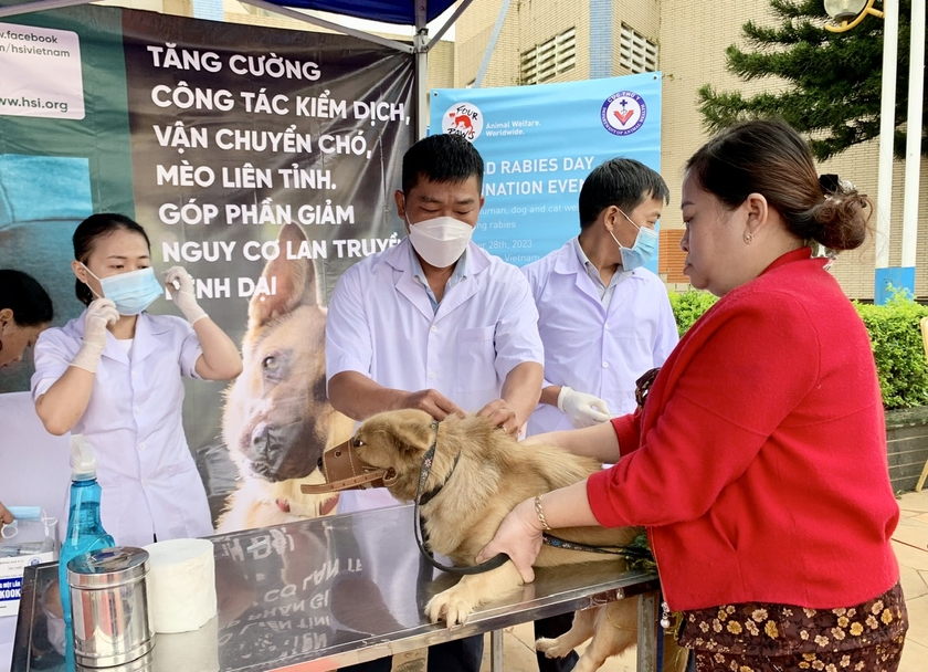 Dịp này, ngành Nông nghiệp và PTNT tỉnh đã bố trí 200 liều vắc xin dại để tiêm miễn phí cho chó, mèo trên địa bàn. Ảnh: Như Nguyện ảnh 2
