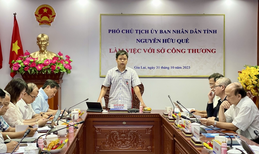 Phó Chủ tịch UBND tỉnh Nguyễn Hữu Quế phát biểu chỉ đạo tại buổi làm việc. Ảnh V.T