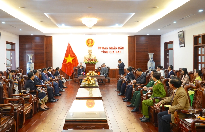 Chủ tịch UBND tỉnh Trương Hải Long tiếp xã giao Đoàn Đại sứ quán Lào ảnh 1