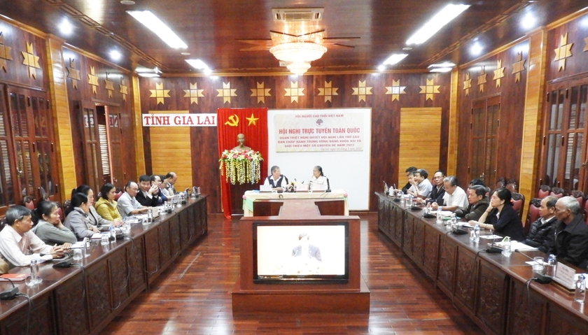 Hội Người cao tuổi Việt Nam quán triệt nghị quyết của Đảng ảnh 1