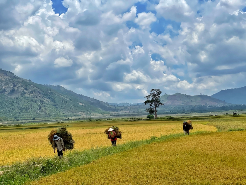 Gia Lai: Mảnh đất màu mỡ để phát triển du lịch nông thôn  ảnh 1