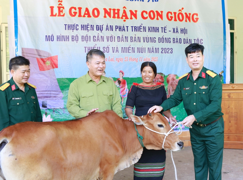 Trung đoàn 710, Binh đoàn 15 tặng bò cho người dân xã Ia Lâu. Ảnh: V.H