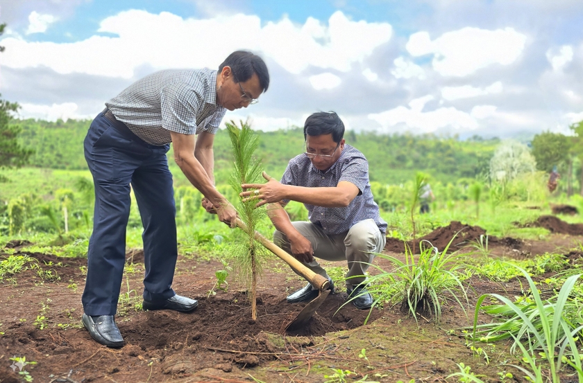 Bí thư Thành ủy Pleiku Trịnh Duy Thuân trồng cây xanh tại lễ phát động. Ảnh: Phạm Ngọc