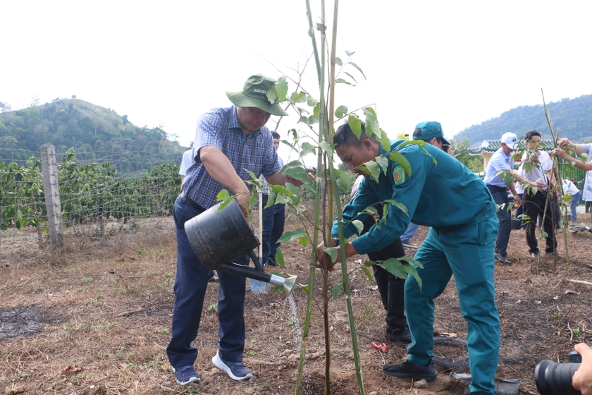 Phó Chủ tịch UBND tỉnh Dương Mah Tiệp trồng cây lưu niệm tại Nhà Bia di tích. Ảnh: Quang Tấn
