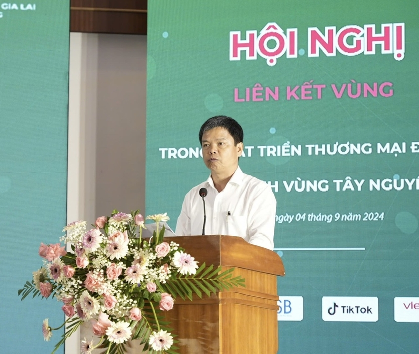 Phó Chủ tịch UBND tỉnh Nguyễn Hữu Quế thông tin về tình hình phát triển thương mại điện tử trên địa bàn tỉnh. Ảnh: Nhật Hào