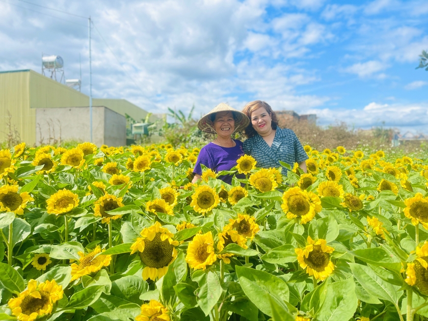 Nhiều nông dân đầu tư vườn hoa làm điểm check in thu hút du khách, góp phần tạo thương hiệu du lịch xanh cho phố núi Pleiku. Ảnh: Mai Ka
