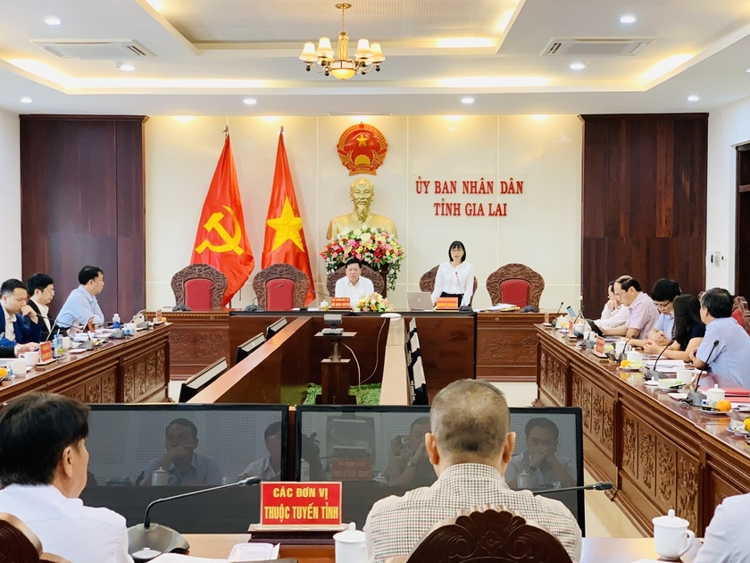 Phó Chủ tịch UBND tỉnh Nguyễn Thị Thanh Lịch phát biểu tại buổi làm việc. Ảnh: Như Nguyện