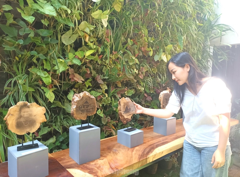 Họa sĩ Nohochi cho biết anh chọn những thân gỗ cà phê hơn 30 năm tuổi để phóng tác ảnh nhằm góp phần quảng bá về loại cây trồng chủ lực ở địa phương. Đồng thời, tận dụng những cây cà phê già cỗi ở các vườn cà phê, tránh lãng phí nguồn tài nguyên.
