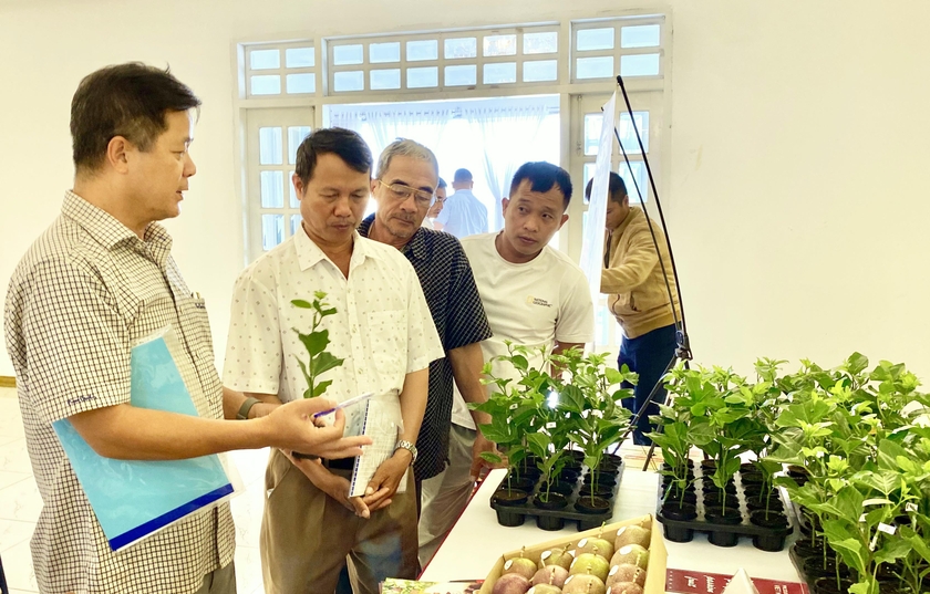 Ngành nông nghiệp Gia Lai cũng đẩy mạnh chuyển đổi số khi sử dụng có hiệu quả các phần mềm do Bộ Nông nghiệp và PTNT triển khai. Ảnh: Hà Duy