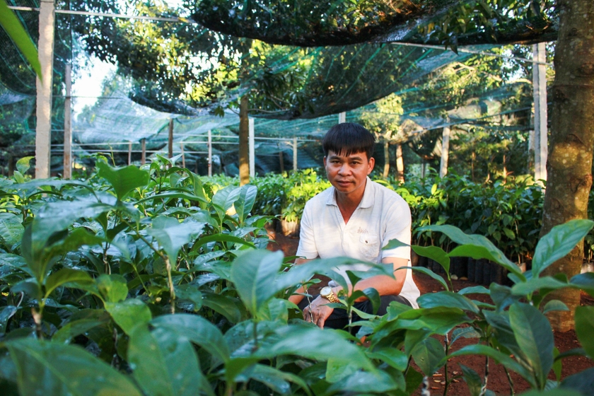 Anh Hoàng Xuân Thanh tại khu vườn ươm cây giống dổi xanh. Ảnh; PL